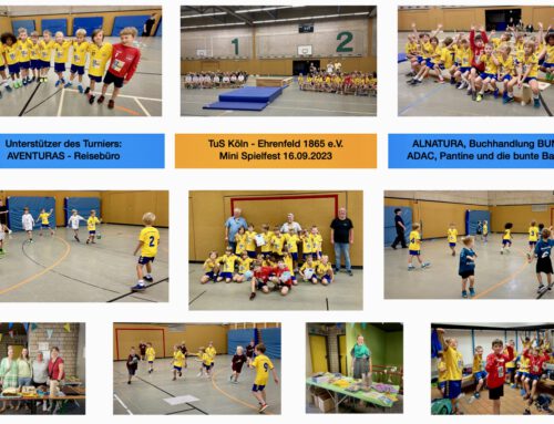 Bericht zum Handball Mini Spielfest